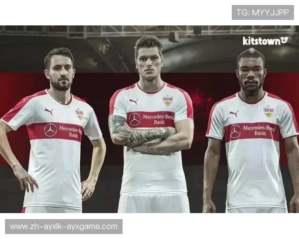 德甲球队赞助费用规模及赞助商合作分析报告