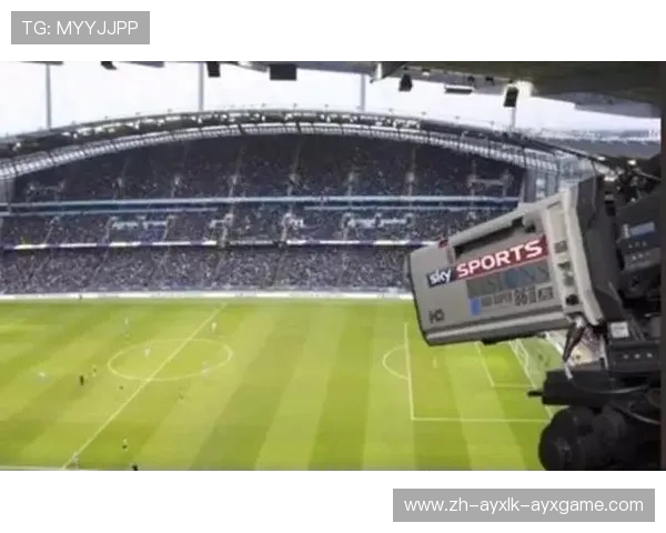 英超球队盈利情况的分析与财务报告 英超球队盈利情况的分析与财务报告