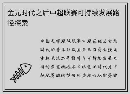 金元时代之后中超联赛可持续发展路径探索