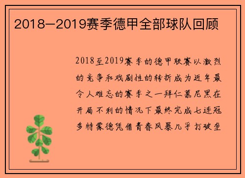 2018–2019赛季德甲全部球队回顾
